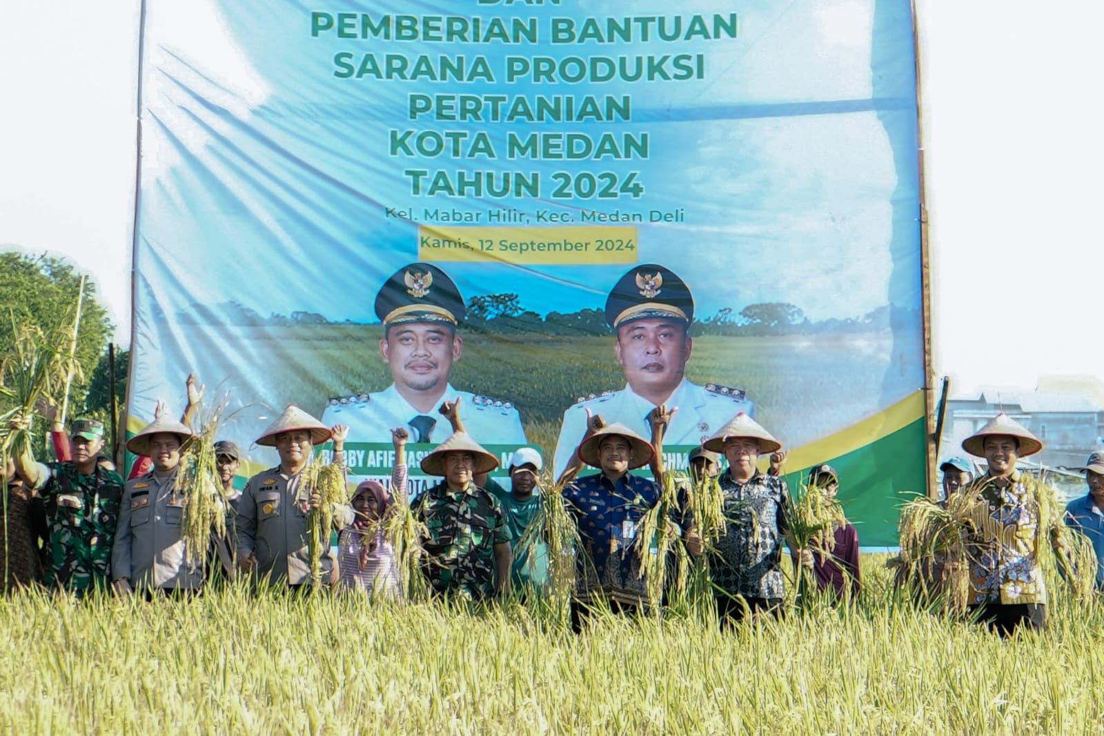 Bobby Panen Raya Padi di Mabar Hilir