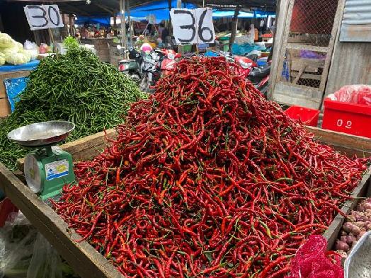 Ibu Rumah Tangga di Sumut Menjerit, Harga Cabai Terbang Tinggi, Ini Pemicunya