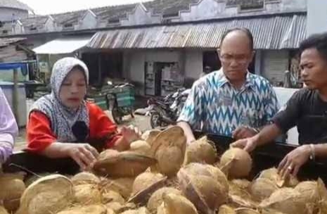 Harga Kopra Melambung, Harga Kelapa Naik 30%