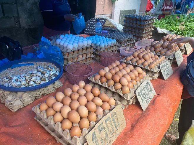Harga Telur Ayam Turun Jelang Idulfitri, Apa yang Terjadi?