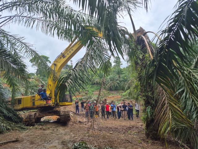 Kembalikan Fungsi Lahan, Kemenhut Bersama Satgas PKH Musnahkan 360 Ha Sawit  di TNGL